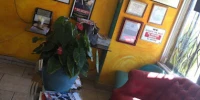Gallery 6 